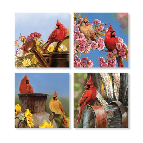 Coaster Cardinal Assorted