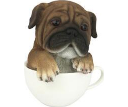 Pup In Cup Pug