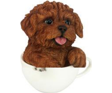 Pup In Cup Red Poodle