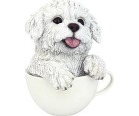 Pup In Cup White Maltese