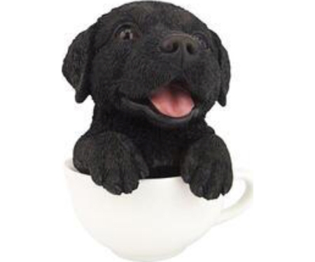 Pup In Cup Black Lab