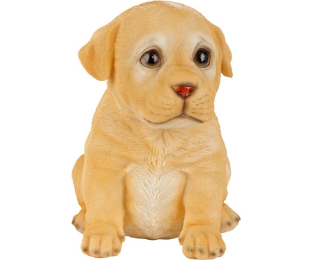 Yellow Lab Puppy Partner