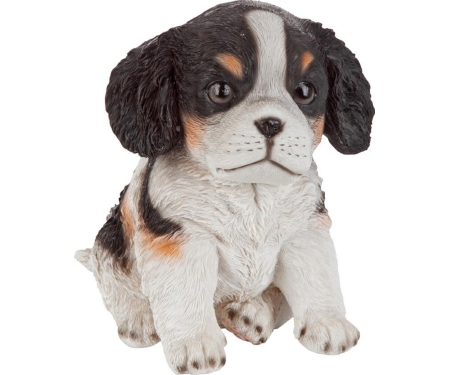 Pup Black & White Cavalier