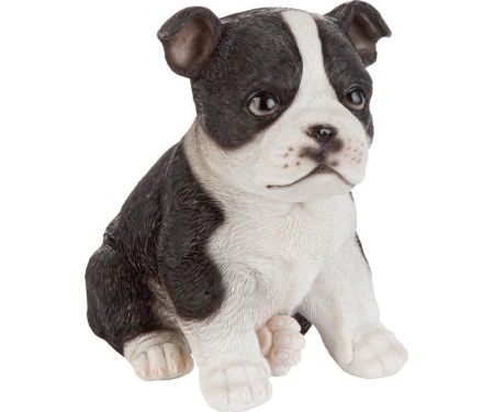 Puppy Partner Boston Terrier