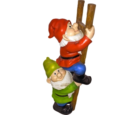 Ladder Climbing Gnomes