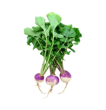 Purple Top Turnip per Lb