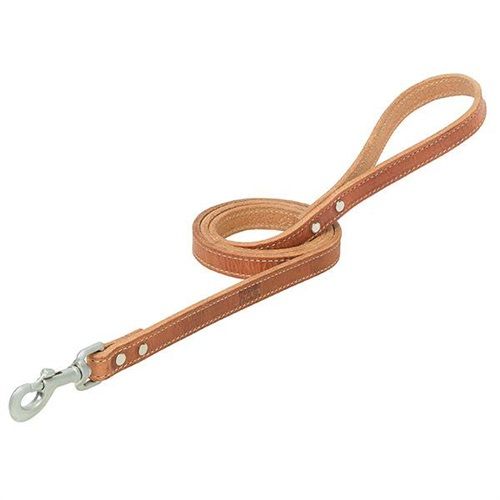 1"x6' Leather Leash