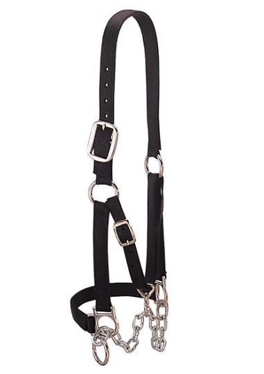 Cow Halter Large Heavy Duty Restraint