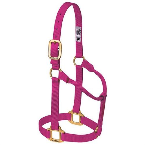 Horse Halter Nylon Weanling/Pony Raspberry