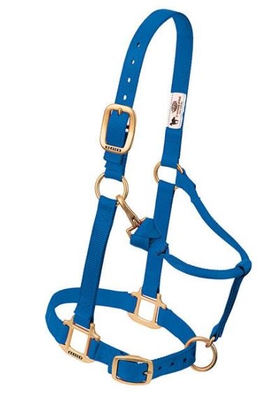 Horse Halter Nylon Suckling Blue W/ Snap Cheek