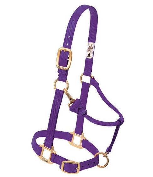 Horse Halter Nylon Suckling Purple W/ Snap Cheek