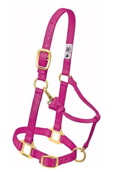 Horse Halter Nylon Suckling Raspberry W/ Snap Cheek