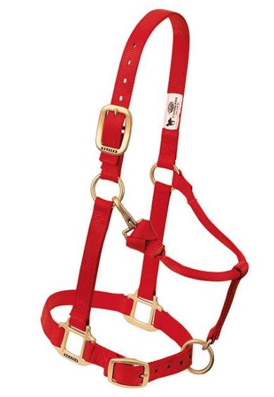 Horse Halter Nylon Suckling Red W/ Snap Cheek