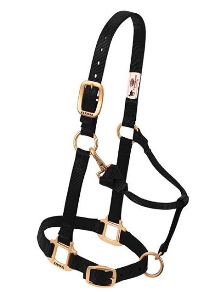 Horse Halter Nylon Pony/Weanling Black W/ Snap Cheek