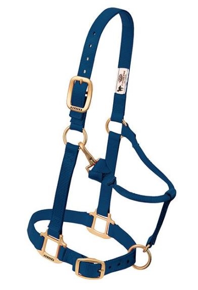 Horse Halter Nylon Pony/Weanling Navy W/ Snap Cheek