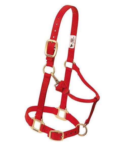 Horse Halter Nylon Pony/Weanling Red W/ Snap Cheek