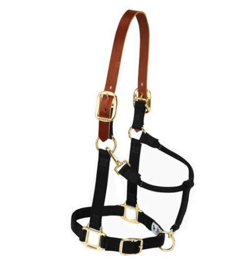 Horse Halter Nylon Breakaway Avg Black