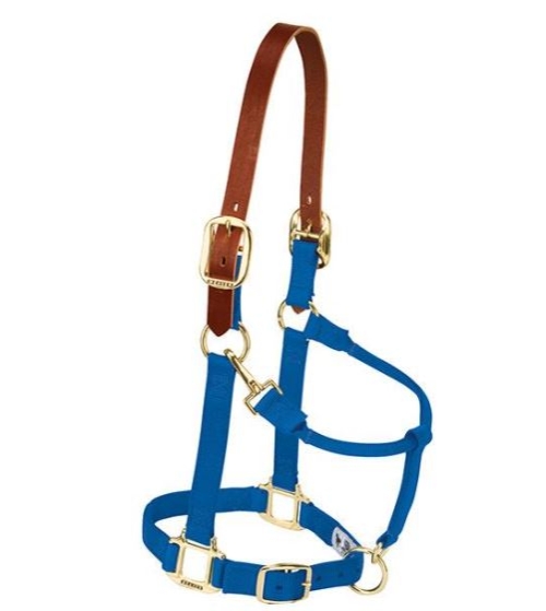 Horse Halter Nylon Breakaway Avg Nylon Blue