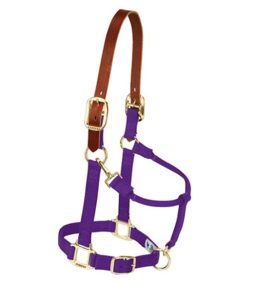 Horse Halter Nylon Breakaway Avg Purple