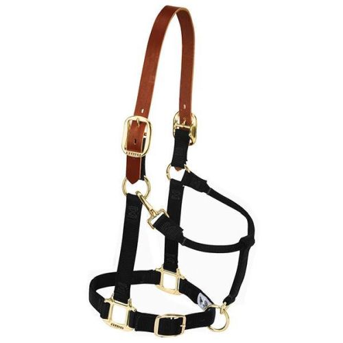 Horse Halter Nylon Yearling Black Breakaway