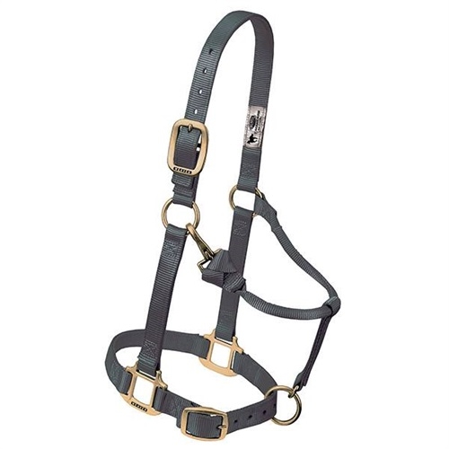 Horse Halter Nylon Yearling Graphite W/ Snap Cheek