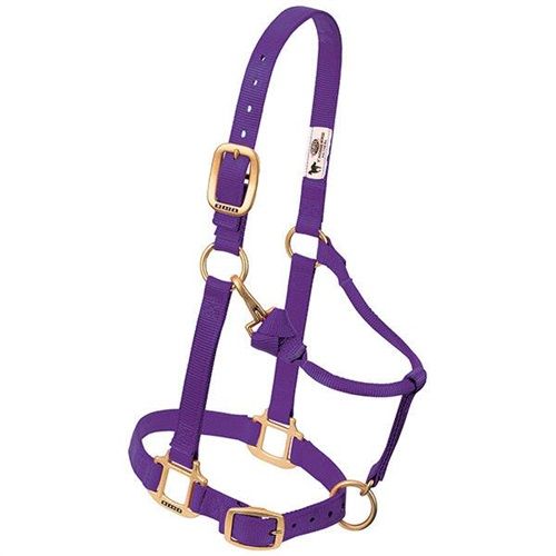 Horse Halter Nylon Yearling Purple w/ Snap Cheek