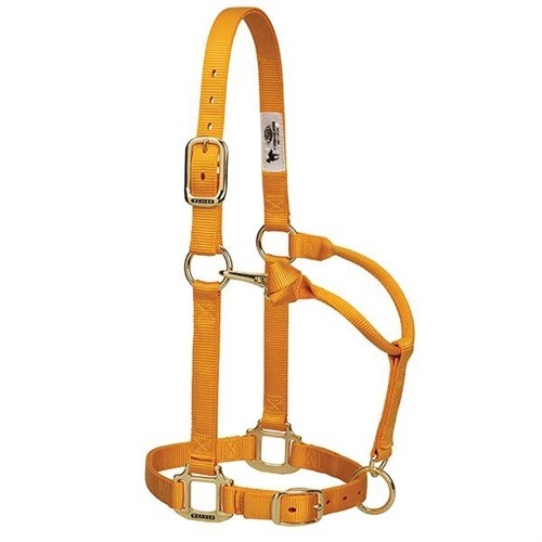 Horse Halter Nylon Small Mustard W/ Snap Cheek