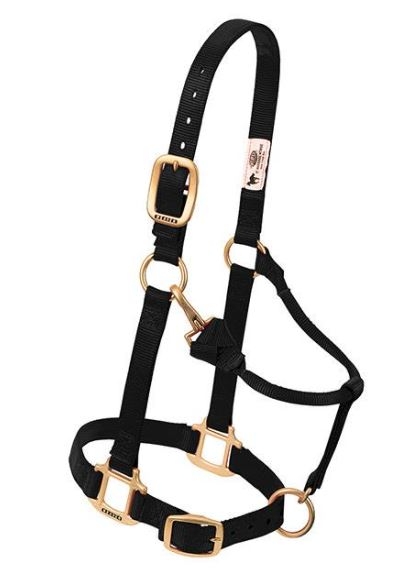 Horse Halter Nylon Small Black W/ Snap Cheek