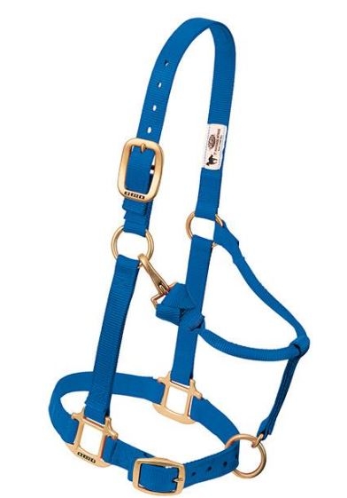 Horse Halter Nylon Small Blue W/ Snap Cheek