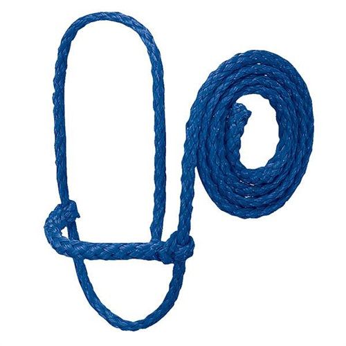 Sheep Halter Poly Blue