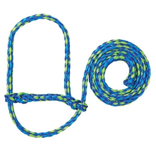 Sheep Halter Poly Adjustable Lime, Hurricane Blue, Blue