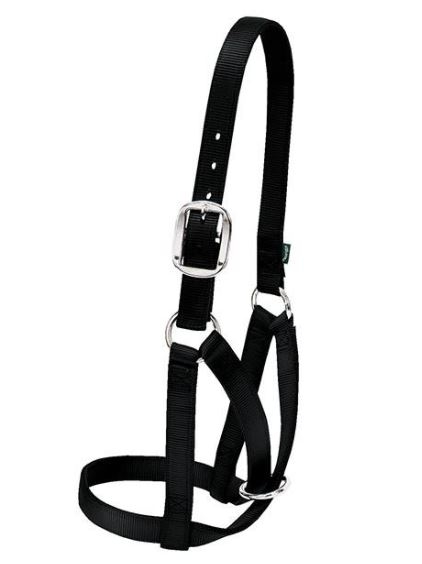 Cow Halter Nylon Medium Black