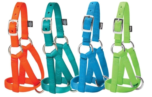 Goat Halter Nylon Assorted Colors Medium