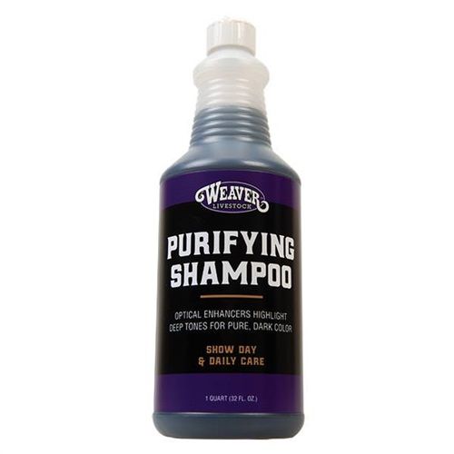 Purifying Shampoo Qt