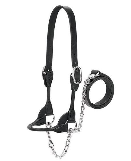 Cow Show Halter Black W/ Nickle Hardware Small