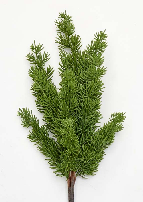 Spray 18"Cypress Bush