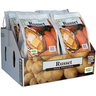RUSSET 5# bag POTATO
