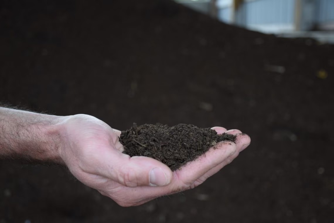 Bulk Manure Compost