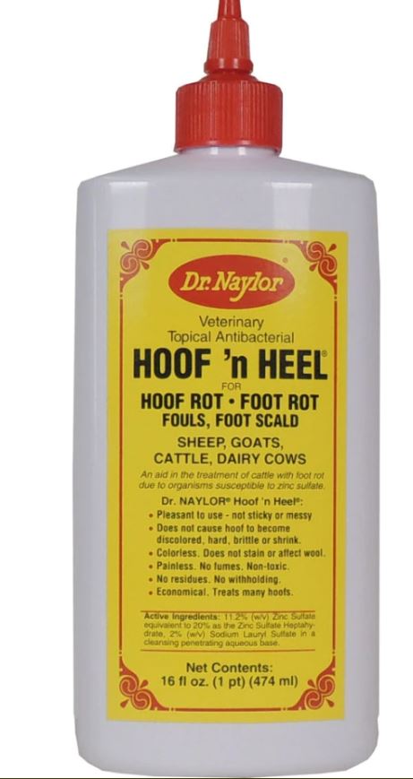 Hoof N Heel 16oz Foot Rot