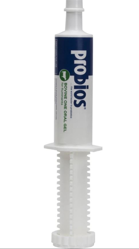 Probios Bovine 60g Gel