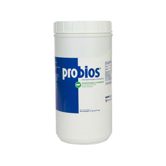 5# Probios Powder