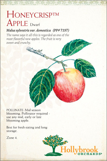 Apple 7g Honeycrisp Smdwf Z4