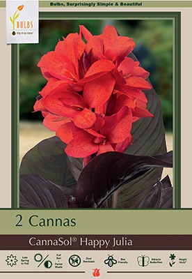 Canna 2P Cannasol Happy Julia