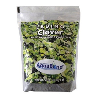 Clover White Ladino 3lb