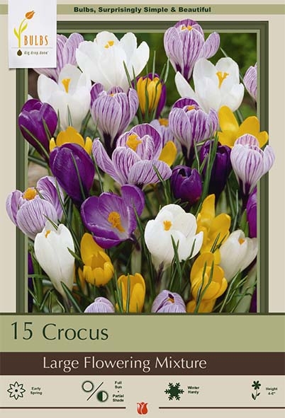 Crocus 15pk LG Mixture