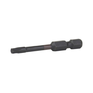 2" Torx T20 Screw Bit