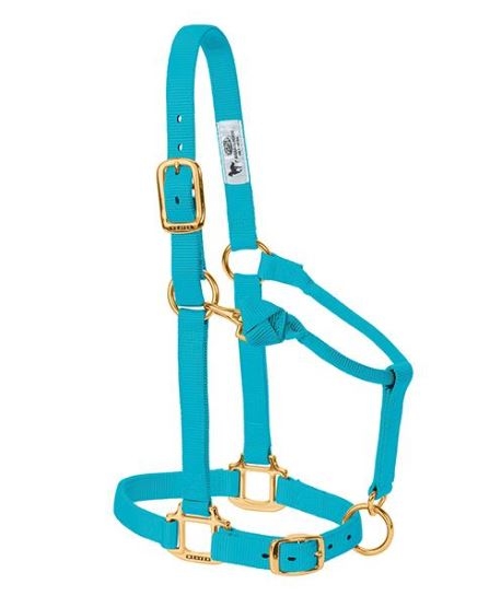 Horse Halter Nylon Large Turquoise W/ Snap Cheek
