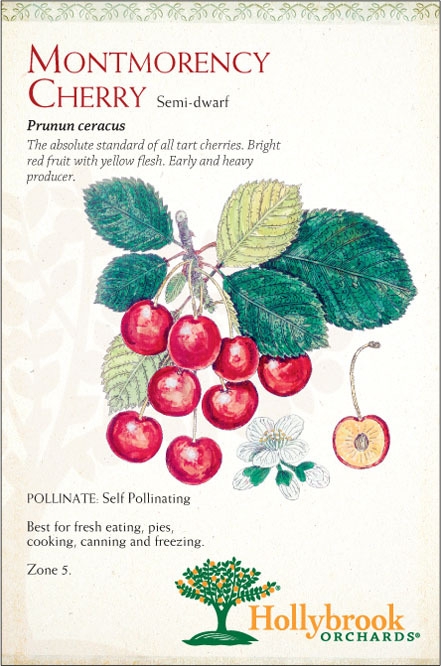 Cherry 7g Montmrncy Smdwf Z5