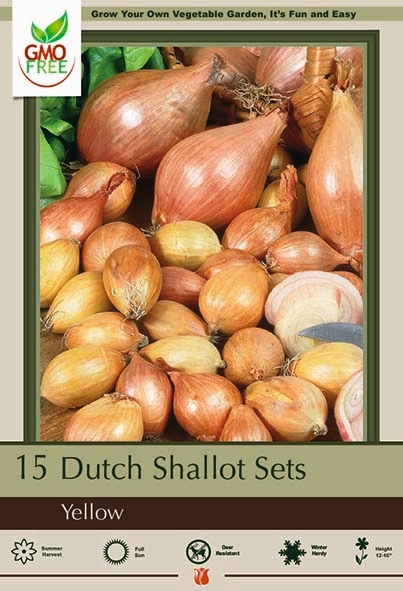Shallot Prepacked 15P Yellow