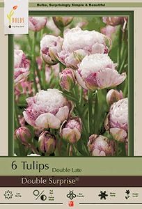 Tulip 7pk Double Surprise